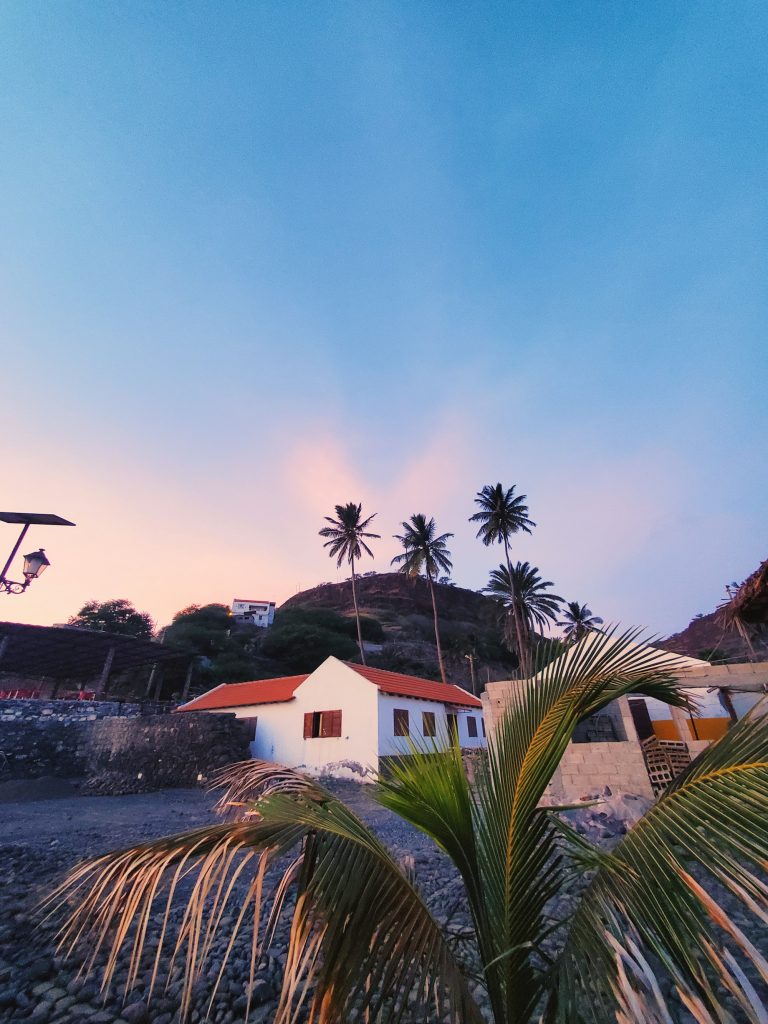 Casas brancas e palmeiras ao pôr do sol